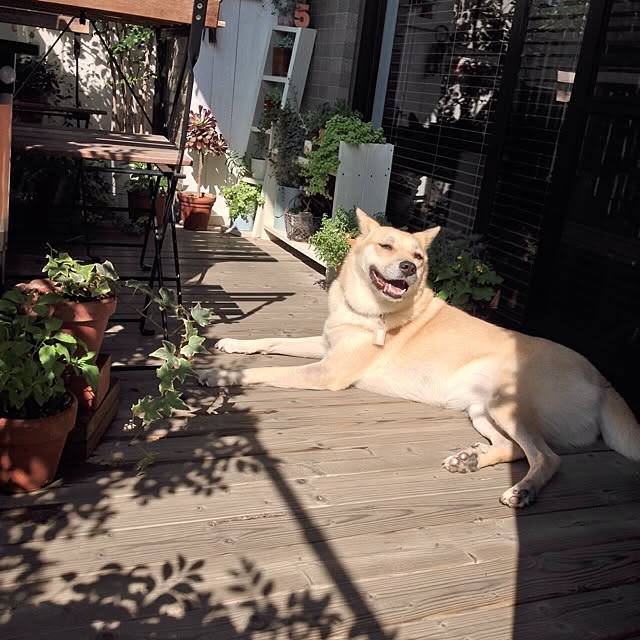 leonaさんの実例写真
