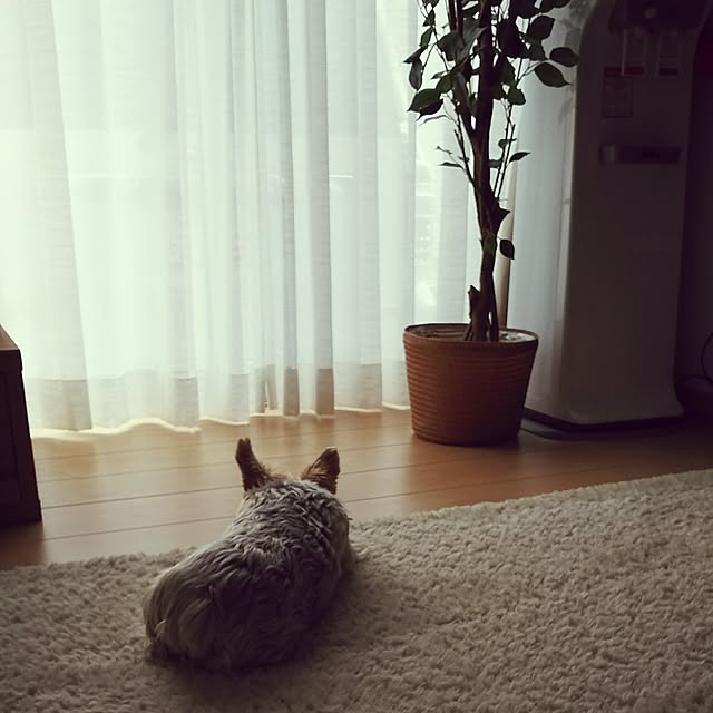 arsaibmskさんの実例写真