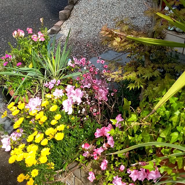 Yoshietanka3492さんの部屋