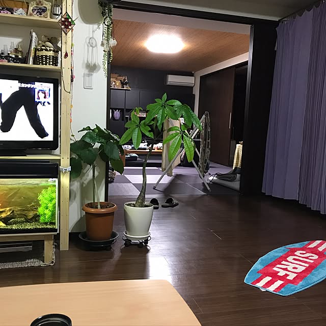 部屋全体のインテリア実例 - 2017-06-07 20:25:04