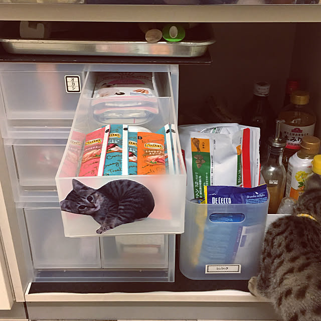 Mさんの実例写真