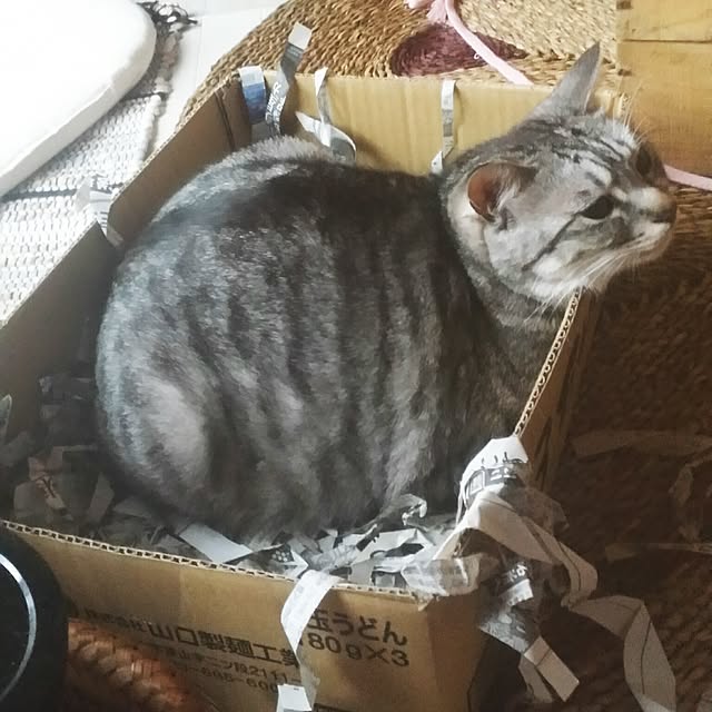 annさんの実例写真