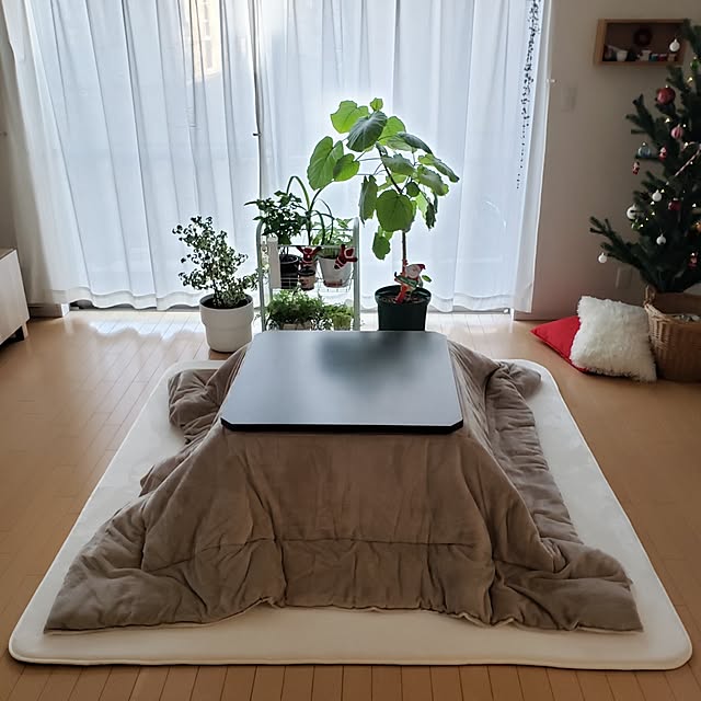 wanidaさんの部屋