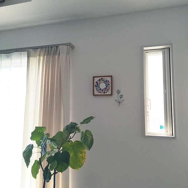 shiroさんの実例写真