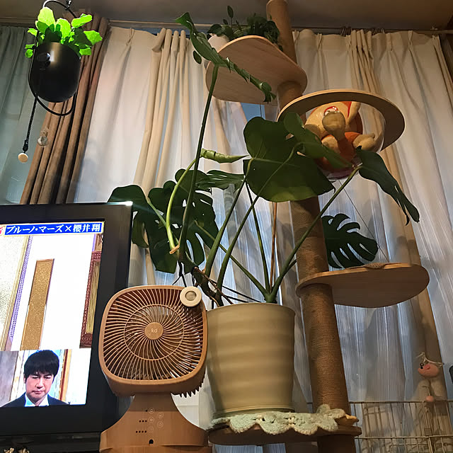 kou-kitiさんの部屋