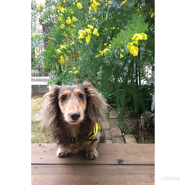 yupponさんの実例写真