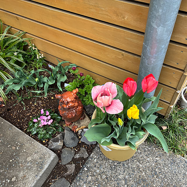 mirutanさんの部屋