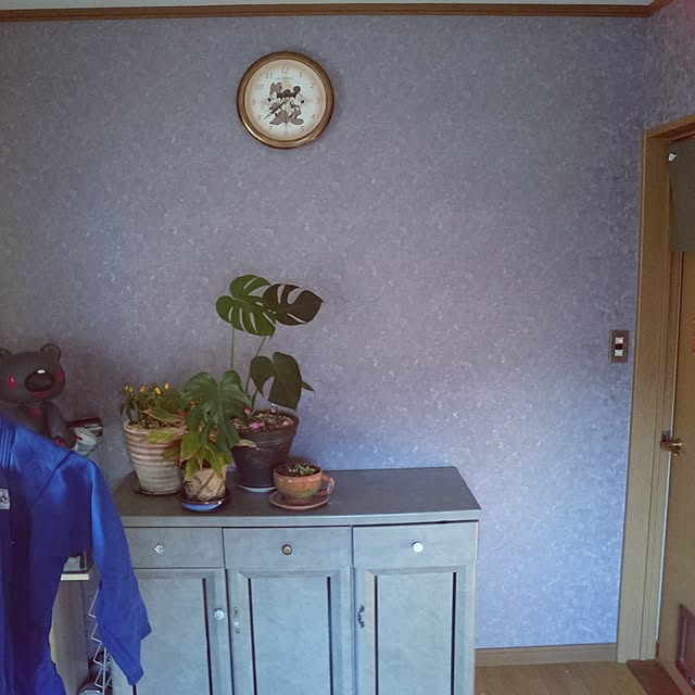 maiさんの実例写真