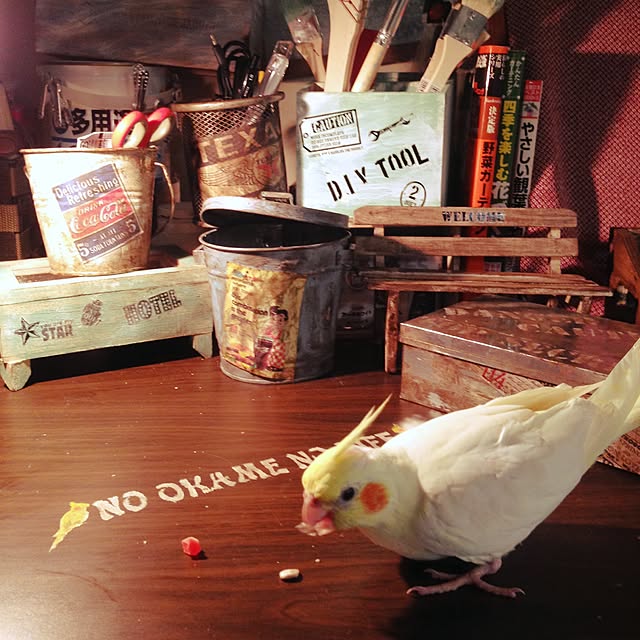 hatakeさんの実例写真