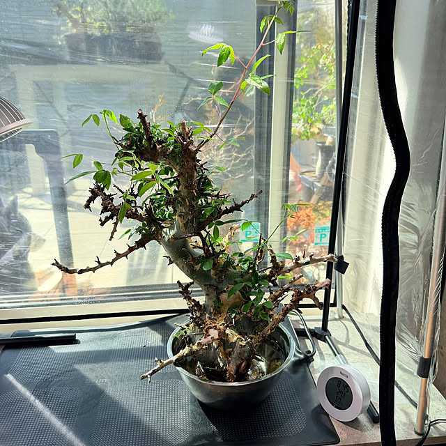 nuruiさんの部屋