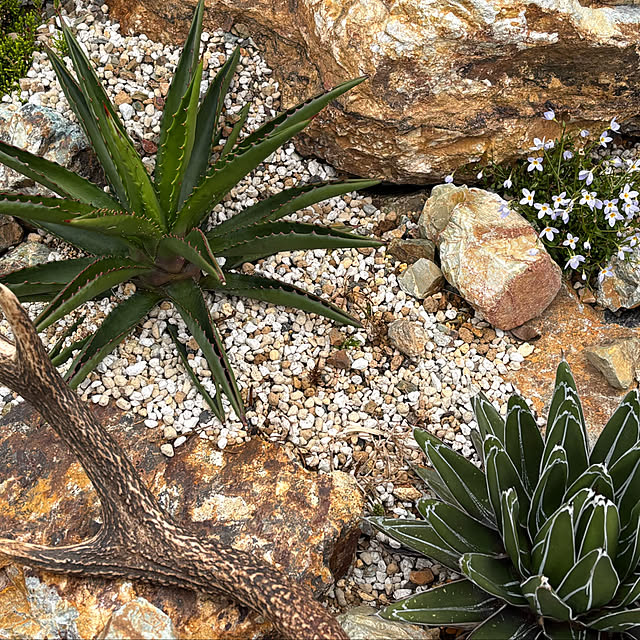 bonber0212さんの実例写真