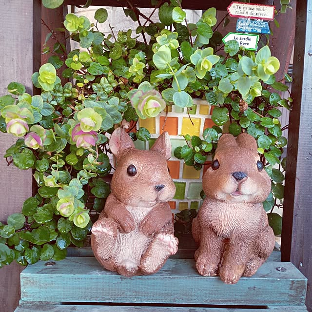 mocomocoさんの部屋