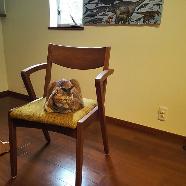 Yukさんの実例写真