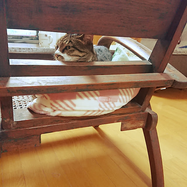 nachiさんの実例写真