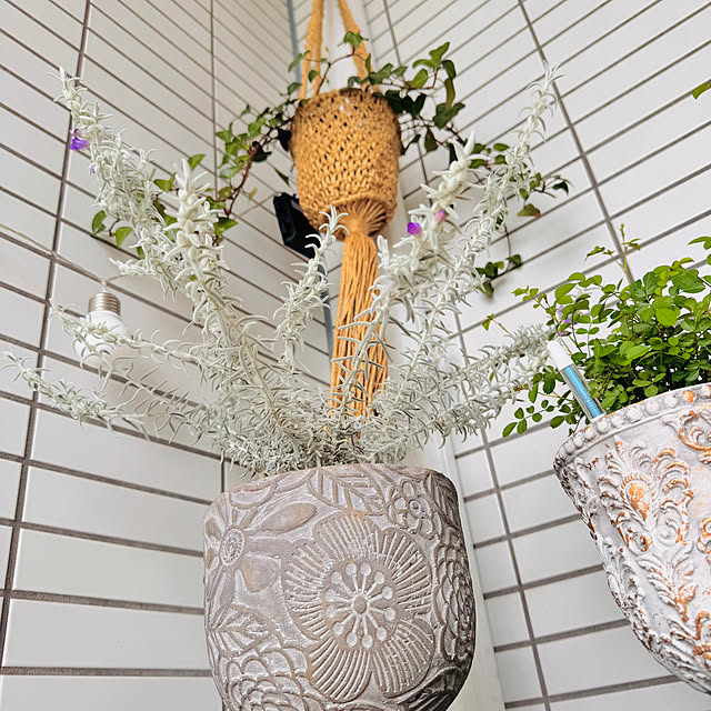 hamahamaさんの実例写真