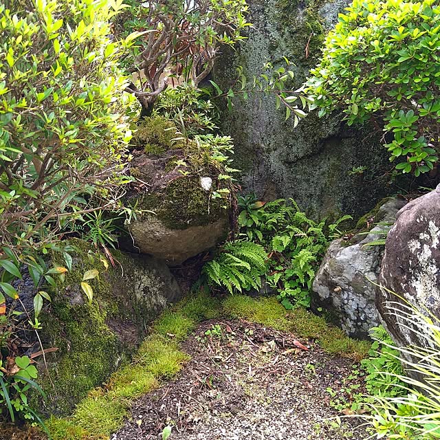 nacoさんの実例写真