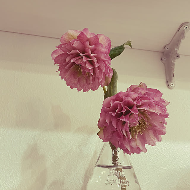 akiさんの部屋