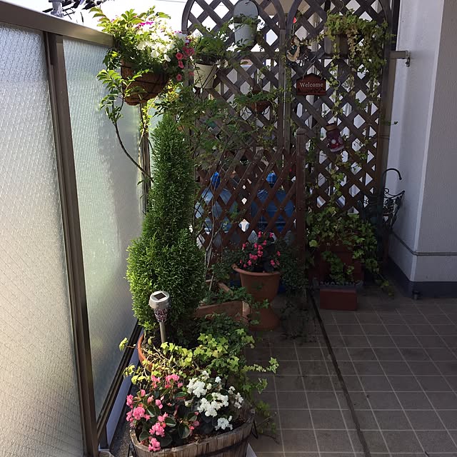実例写真