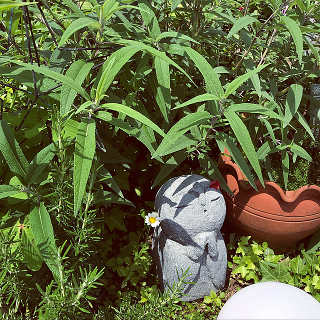 ankoさんの実例写真