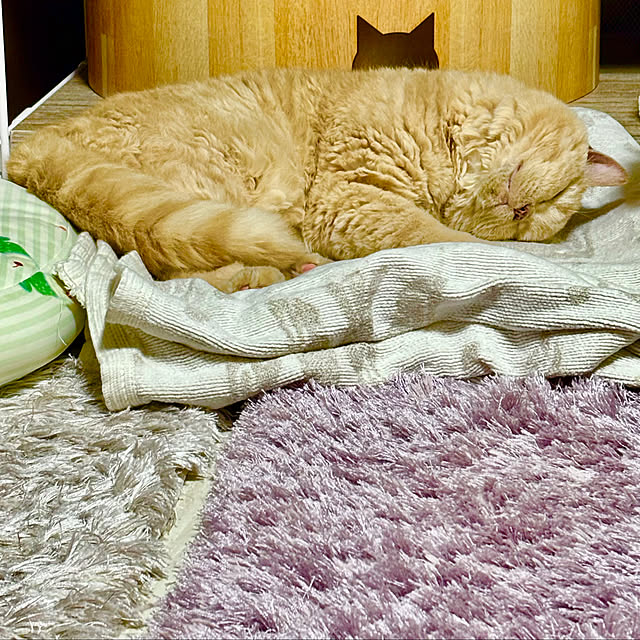 naokoさんの部屋