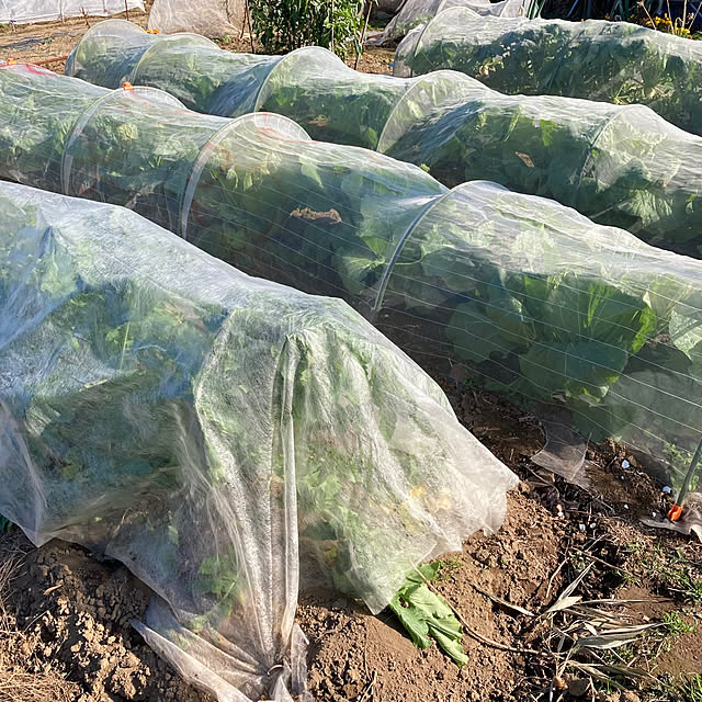 mkmkmoominさんの部屋