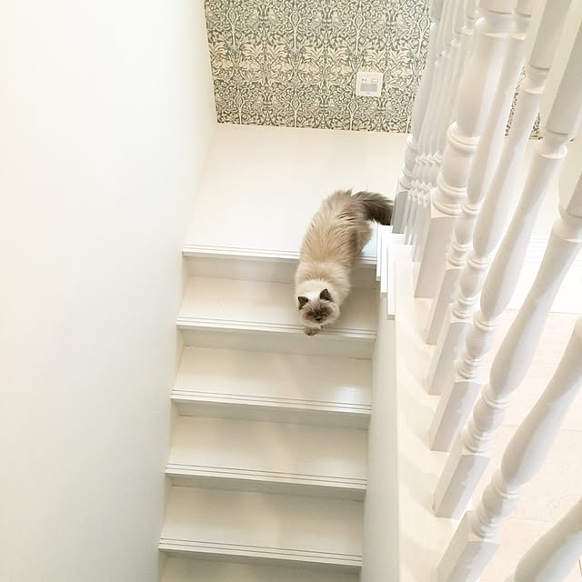 yuchiさんの実例写真