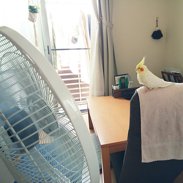 pontaさんの実例写真