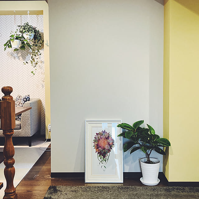 吊るし観葉植物/観葉植物/インテリアグリーン/イエローの壁/グリーン...などのインテリア実例 - 2021-12-29 13:29:52