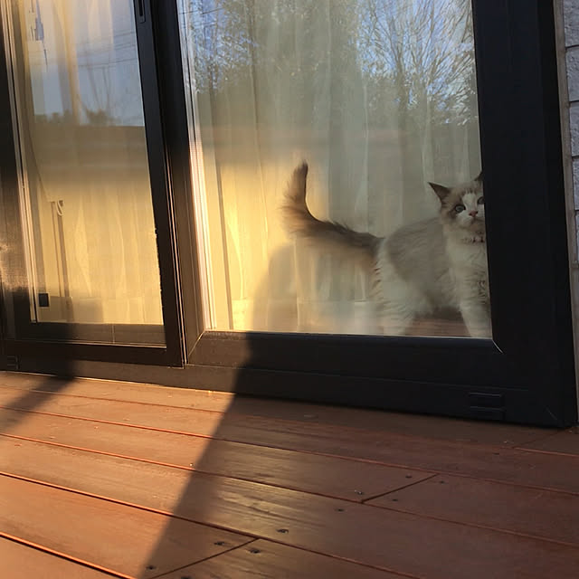mizukiさんの実例写真