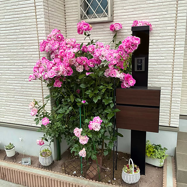 miiさんの部屋