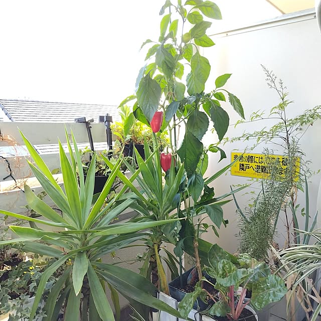 yuuu7712さんの部屋