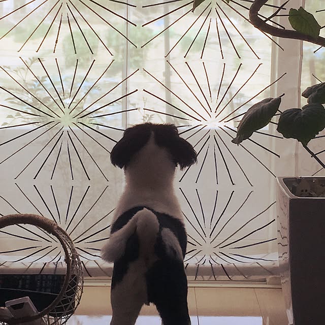 1286さんの実例写真
