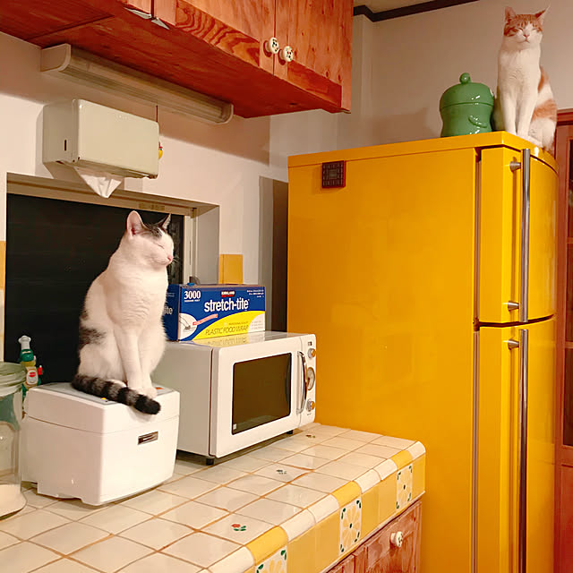 meさんの実例写真
