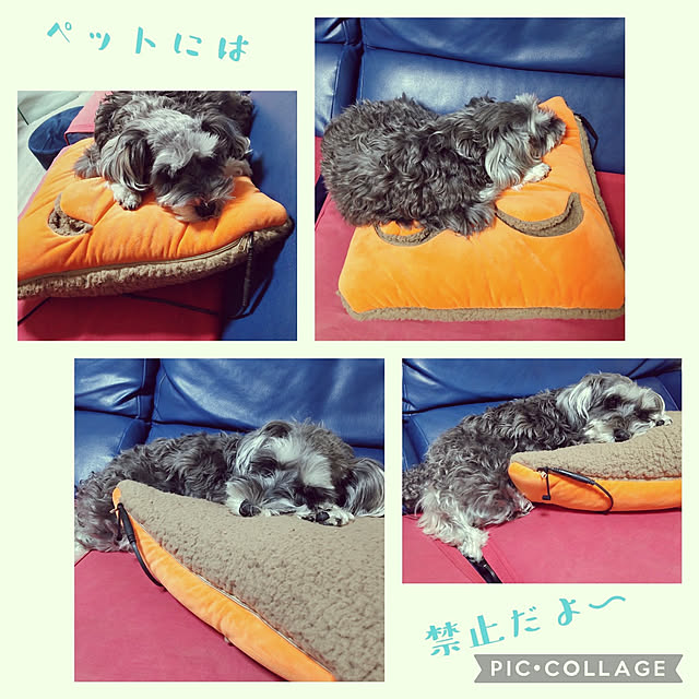 ampinさんの実例写真