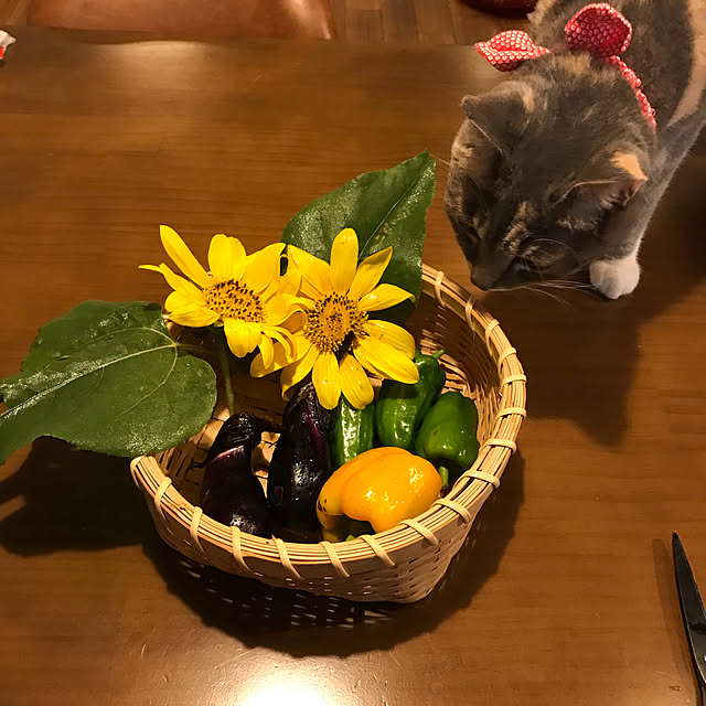 yoshibuさんの実例写真