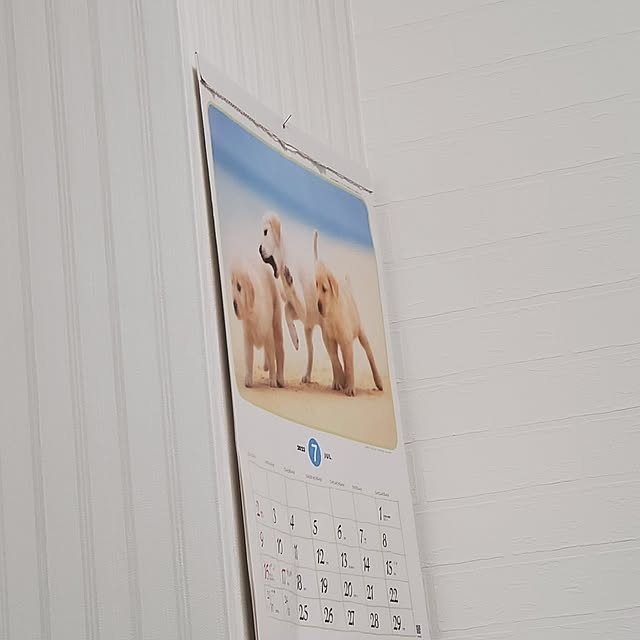 ma0504さんの実例写真