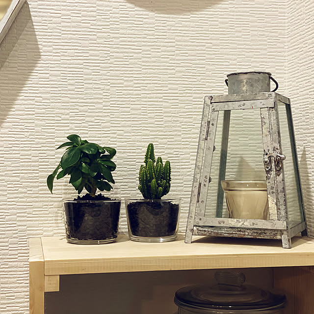 Yume_usagi_13さんの実例写真