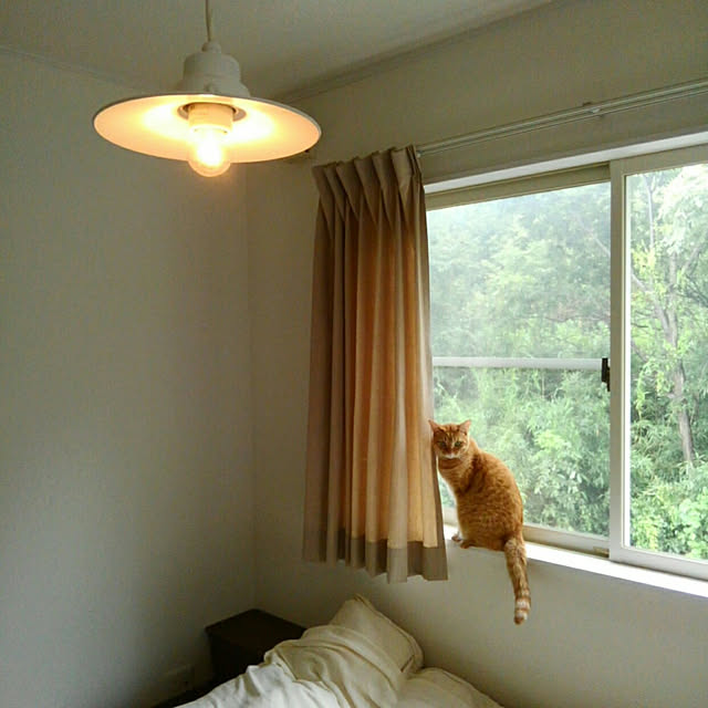 mayutan.さんの実例写真