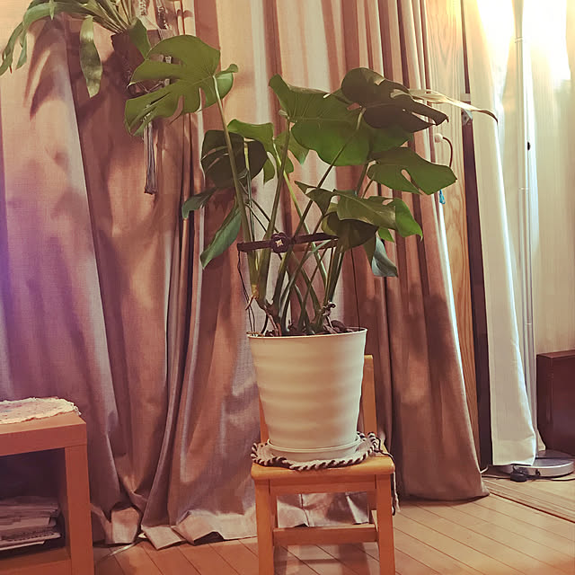 kou-kitiさんの実例写真