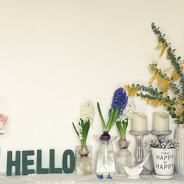 Kaeru-Mamaさんの部屋