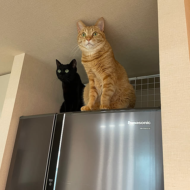 leafさんの実例写真