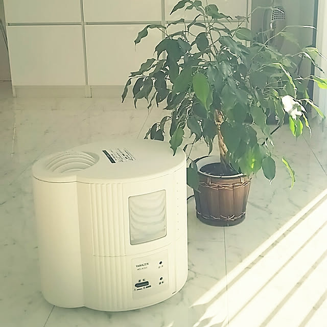 mutyukingさんの実例写真