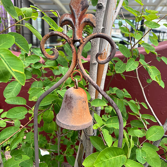 AYUKOさんの部屋