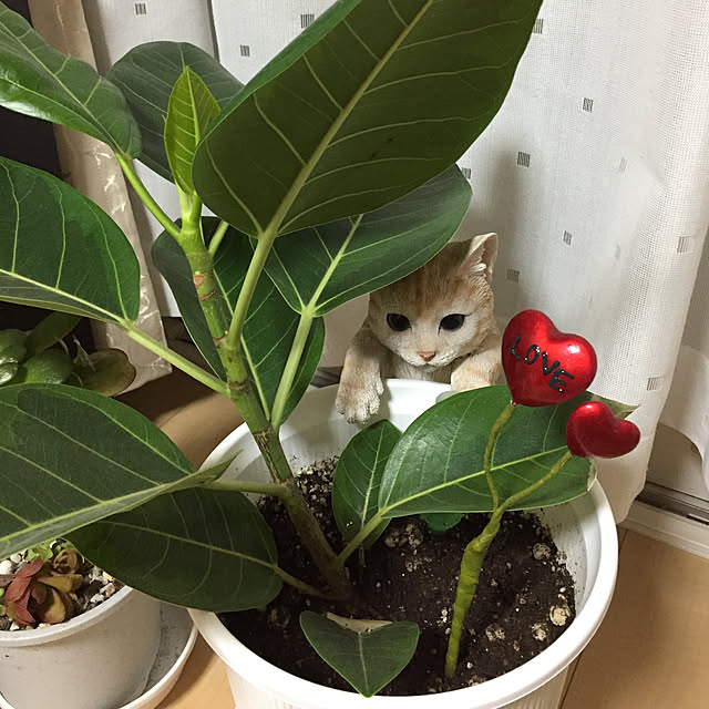 emiさんの実例写真