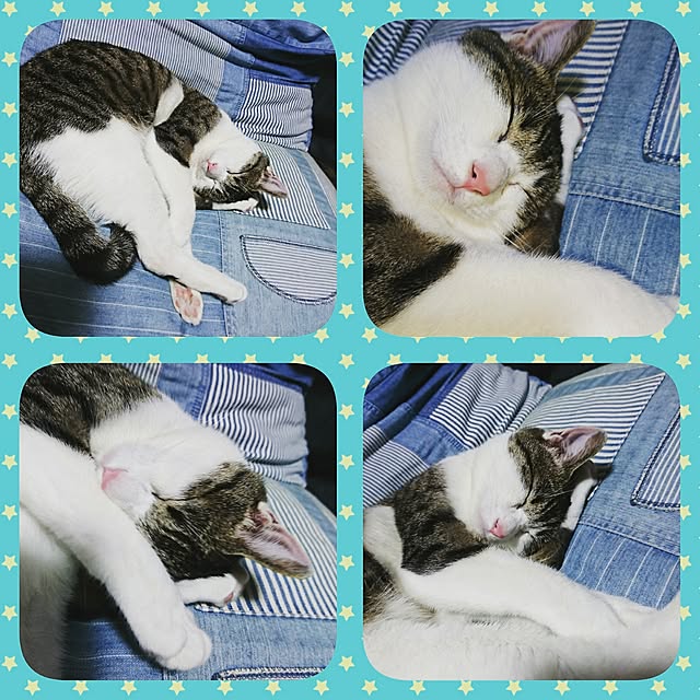 kiraさんの実例写真