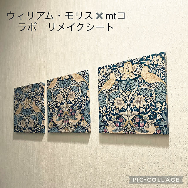 izuさんの実例写真