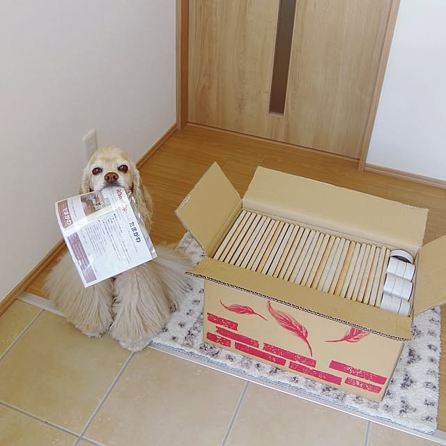 Shooowkoさんの実例写真