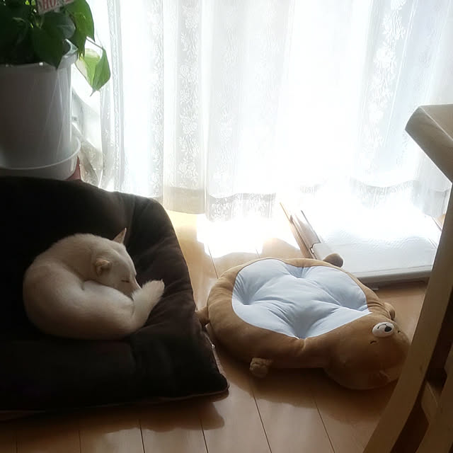 mmpoohさんの実例写真