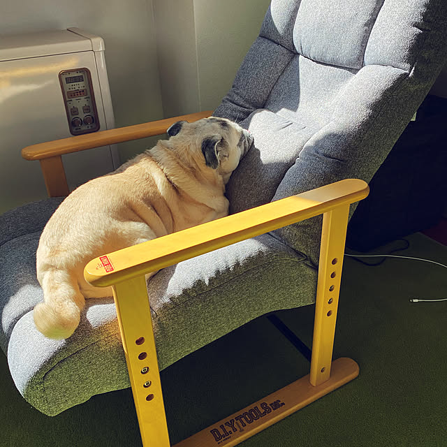 kellyさんの実例写真