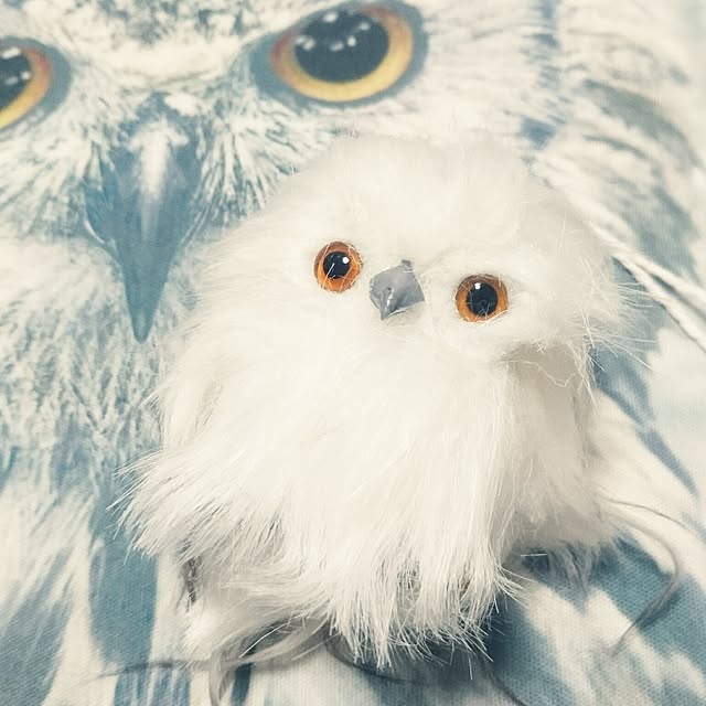 totoko3927さんの実例写真